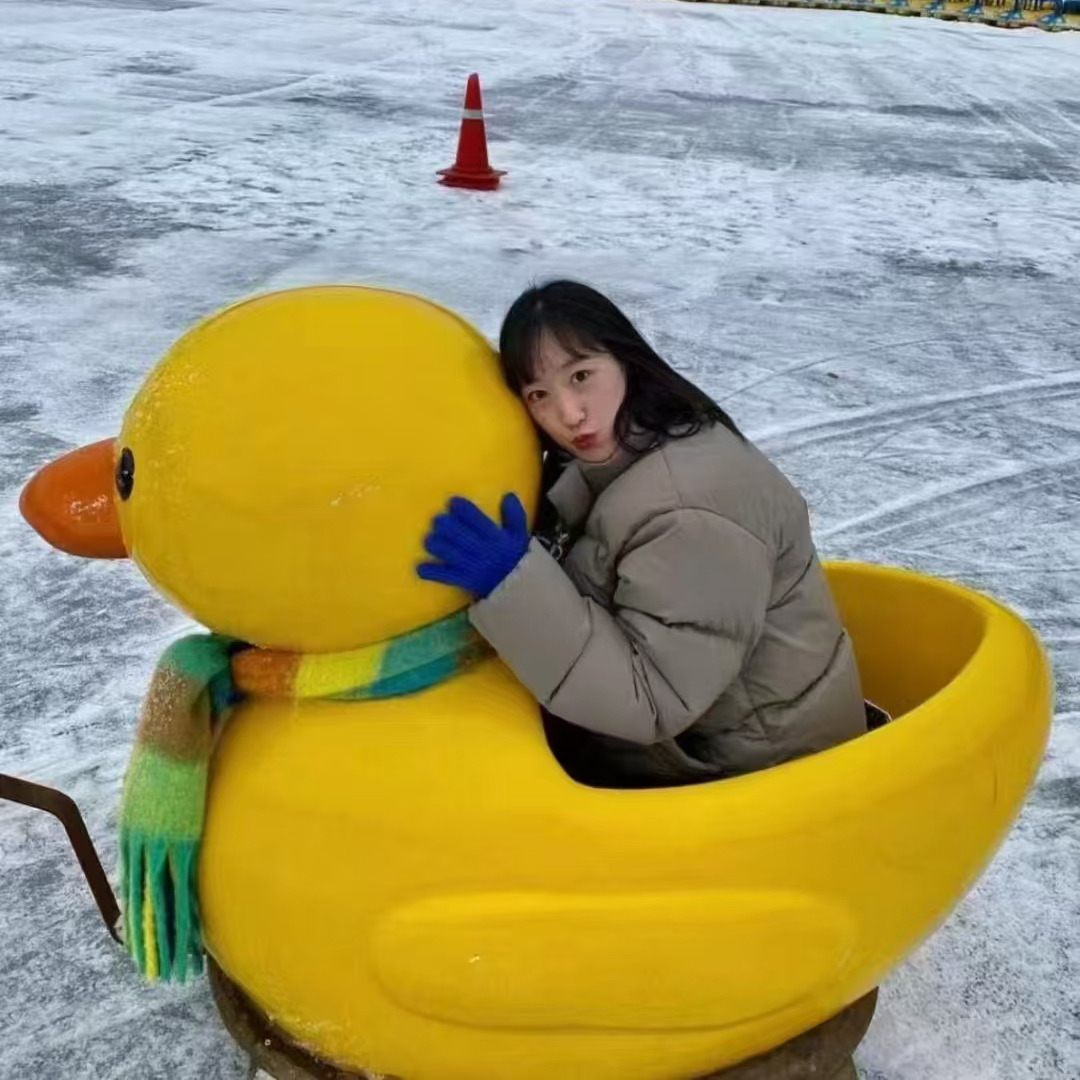 Plastic Animal Sled Made by Aluminum Rotational Mold